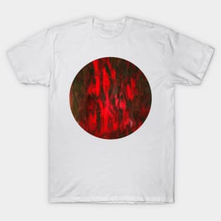 Raspberry heat (circle) T-Shirt